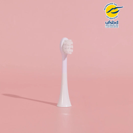 Têtes de Brosse - Enfant (abonnement)