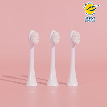 Pack 3 Têtes de Brosse - Enfant
